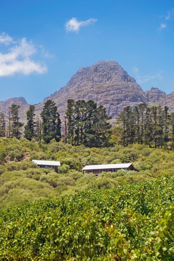 Bush Lodge At Hidden Valley Wines Stellenbosch Dış mekan fotoğraf